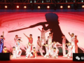 武术表演视频,武术表演视频中的精彩瞬间回顾