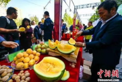 砀山最新吃瓜爆料事件,揭秘神秘事件背后的真相