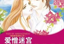 爱憎漫画,描绘人性百态的幽默画卷