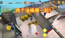 躲猫猫视频,趣味互动视频背后的欢乐时光