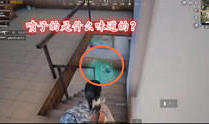 搞鸡视频下载,轻松获取热门短视频