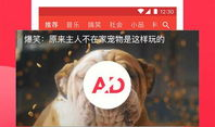 沙雕吃瓜爆料视频下载,一场网络爆料的狂欢盛宴